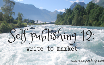 Self publishing 12: write to market